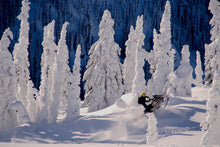 Load image into Gallery viewer, Snowmobiling or Sled Skiing / Snowboarding Photo Video SNOWFARI